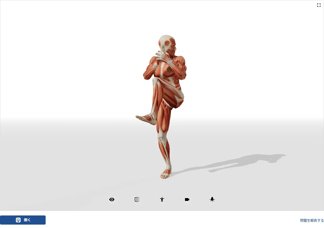 POSEMANIACSの3Dビューアで、筋肉が見える人体モデルが片脚を上げて振りかぶるポーズをとっている画面
