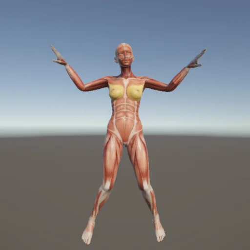 ストレッチ45 — 3Dデッサン人形（無料ポーズ資料）