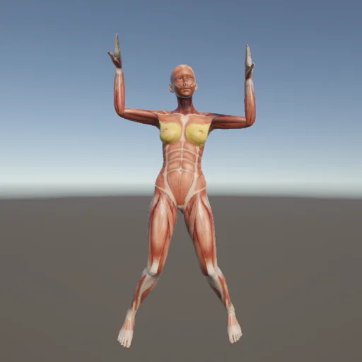 ストレッチ46 — 3Dデッサン人形（無料ポーズ資料）
