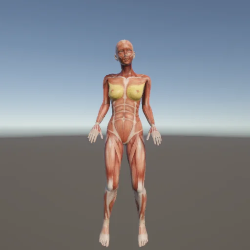 ストレッチ47 — 3Dデッサン人形（無料ポーズ資料）