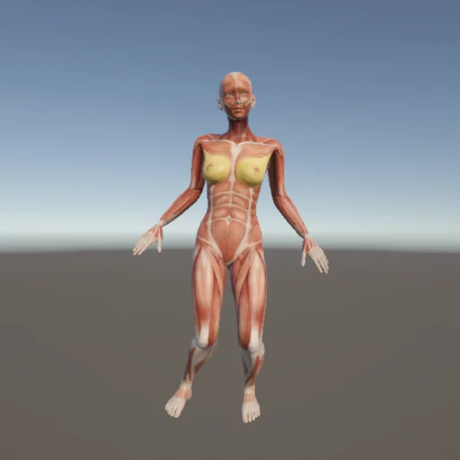 ストレッチ61 — 3Dデッサン人形（無料ポーズ資料）