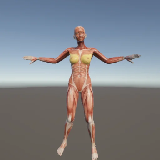 ストレッチ62 — 3Dデッサン人形（無料ポーズ資料）
