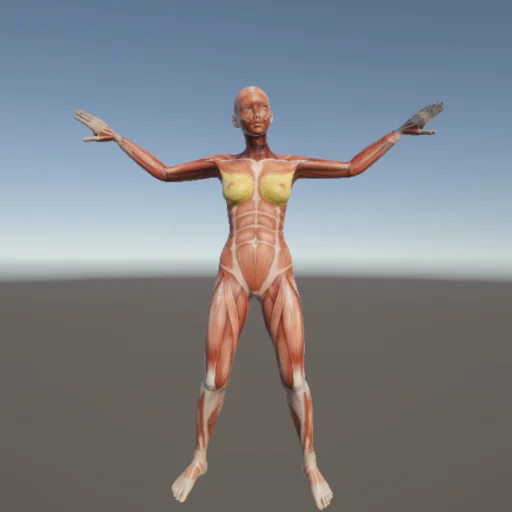 ストレッチ63 — 3Dデッサン人形（無料ポーズ資料）