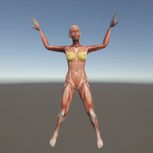 ストレッチ65 — 3Dデッサン人形（無料ポーズ資料）