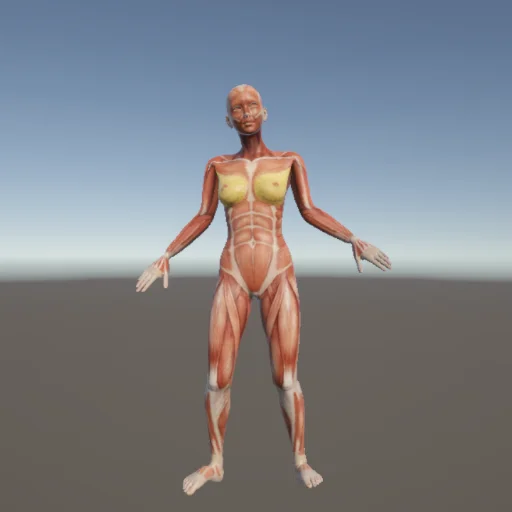 ストレッチ66 — 3Dデッサン人形（無料ポーズ資料）