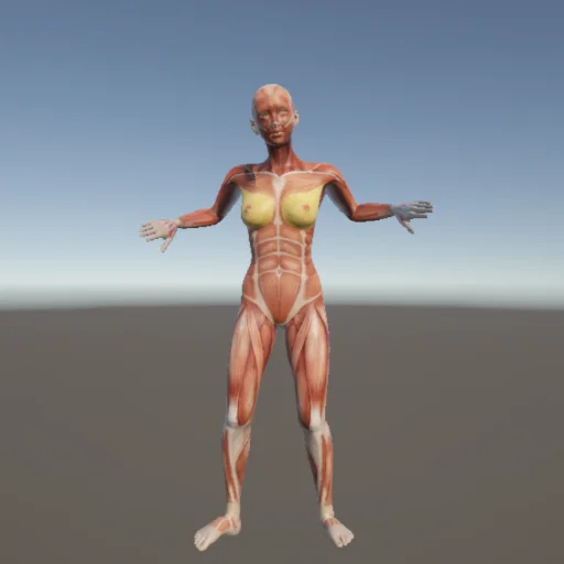 ストレッチ67 — 3Dデッサン人形（無料ポーズ資料）
