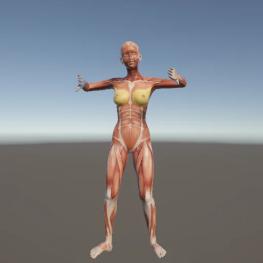 ストレッチ68 — 3Dデッサン人形（無料ポーズ資料）