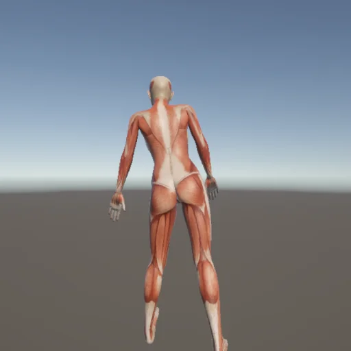 歩く100 — 3Dデッサン人形（無料ポーズ資料）