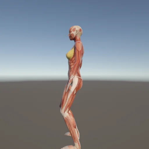 武術160 — 3Dデッサン人形（無料ポーズ資料）