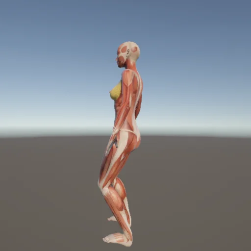 武術161 — 3Dデッサン人形（無料ポーズ資料）