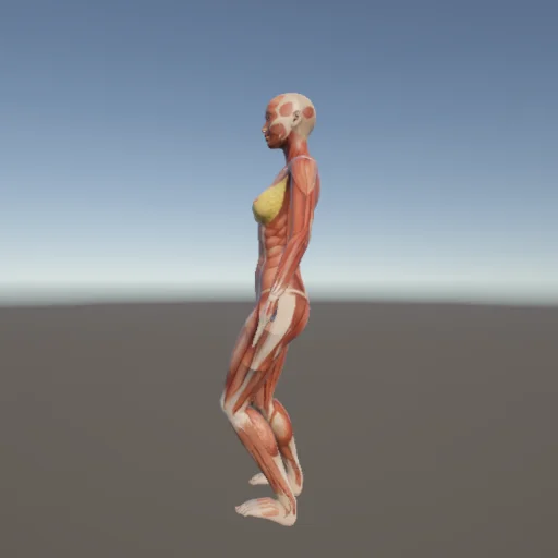 武術162 — 3Dデッサン人形（無料ポーズ資料）