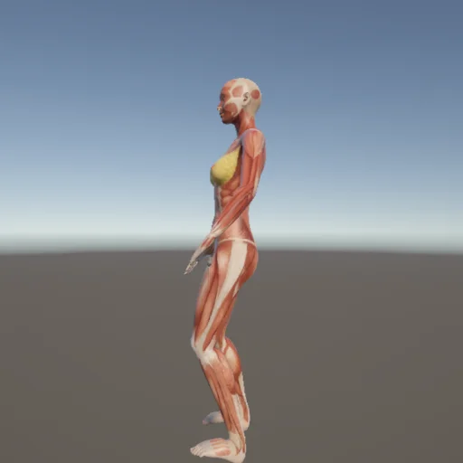 武術163 — 3Dデッサン人形（無料ポーズ資料）
