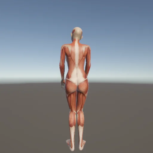 アクロバット170 — 3Dデッサン人形（無料ポーズ資料）