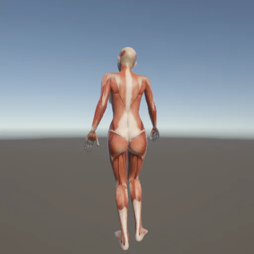 アクロバット171 — 3Dデッサン人形（無料ポーズ資料）