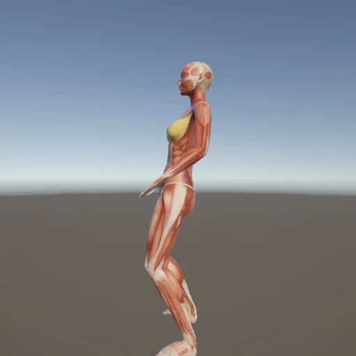 アクロバット173 — 3Dデッサン人形（無料ポーズ資料）