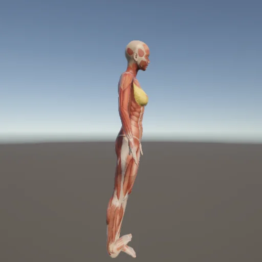 アクロバット180 — 3Dデッサン人形（無料ポーズ資料）
