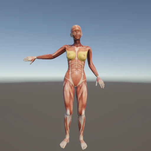スポーツ207 — 3Dデッサン人形（無料ポーズ資料）