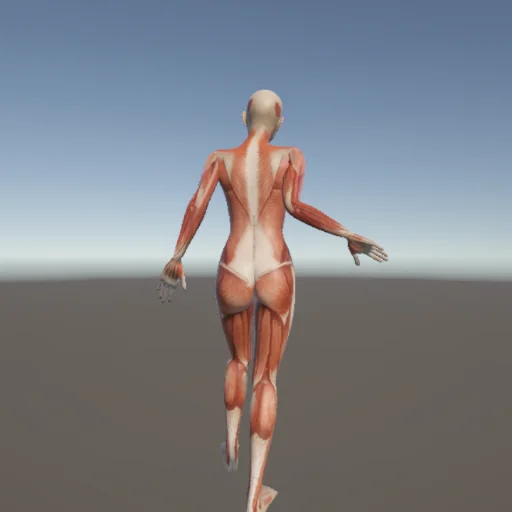 スポーツ210 — 3Dデッサン人形（無料ポーズ資料）