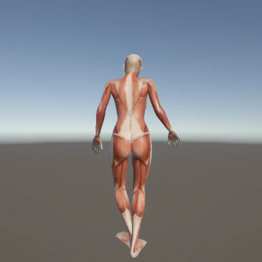 転倒231 — 3Dデッサン人形（無料ポーズ資料）