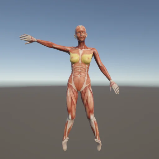 ヒーロー240 — 3Dデッサン人形（無料ポーズ資料）