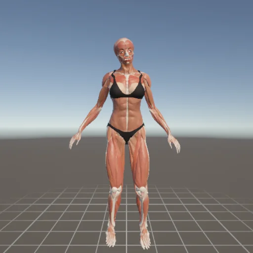 アクションポーズ #20 — 3Dデッサン人形（Proプラン限定ポーズ資料）