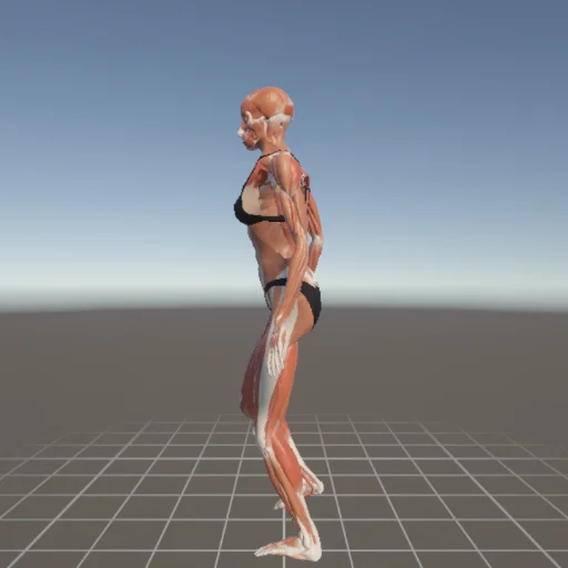 アクションポーズ #127 — 3Dデッサン人形（Proプラン限定ポーズ資料）