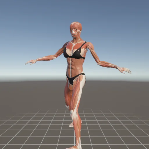 アクションポーズ #144 — 3Dデッサン人形（Proプラン限定ポーズ資料）